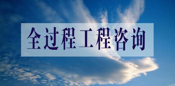 全過程工程咨詢流程圖系列一